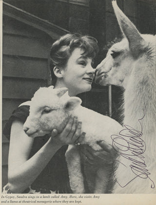 Church, Sandra. (b. 1937) "Little Lamb" - Signed Photograph with a Lamb and Llama