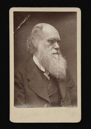 Darwin, Charles. (1809–1882) Carte de Visite Photograph