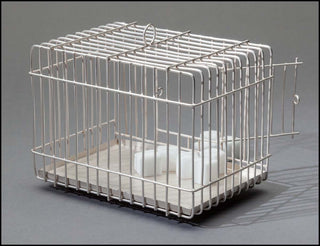 [Duchamp, Marcel. (1887 - 1968)] Lachaert, Sofie. (b. 1958) & D'Hanis, Luc. (Belgian, 20th C.) Sugar Cage, 2006