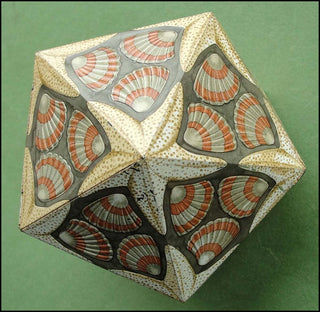 Escher, Maurits Cornelis. (1898 - 1972) Icosaeder (ICOSAHEDRON)