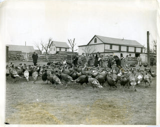 [Thanksgiving] [Farmyard Orchestra] "Playing the Death March of Mr. Turkey Gobbler" - Original 1927 Photograph