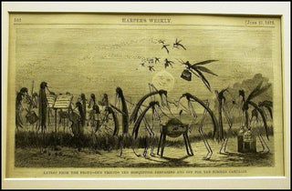 [Musical Mosquitoes] Original 1873 Harper's Print