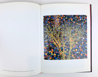 Tomaselli, Fred. (b. 1956).  [Gregory Volk & Arthur Solway] Fred Tomaselli - SIGNED